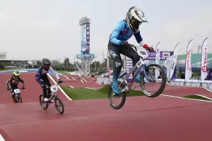 bmx06022404